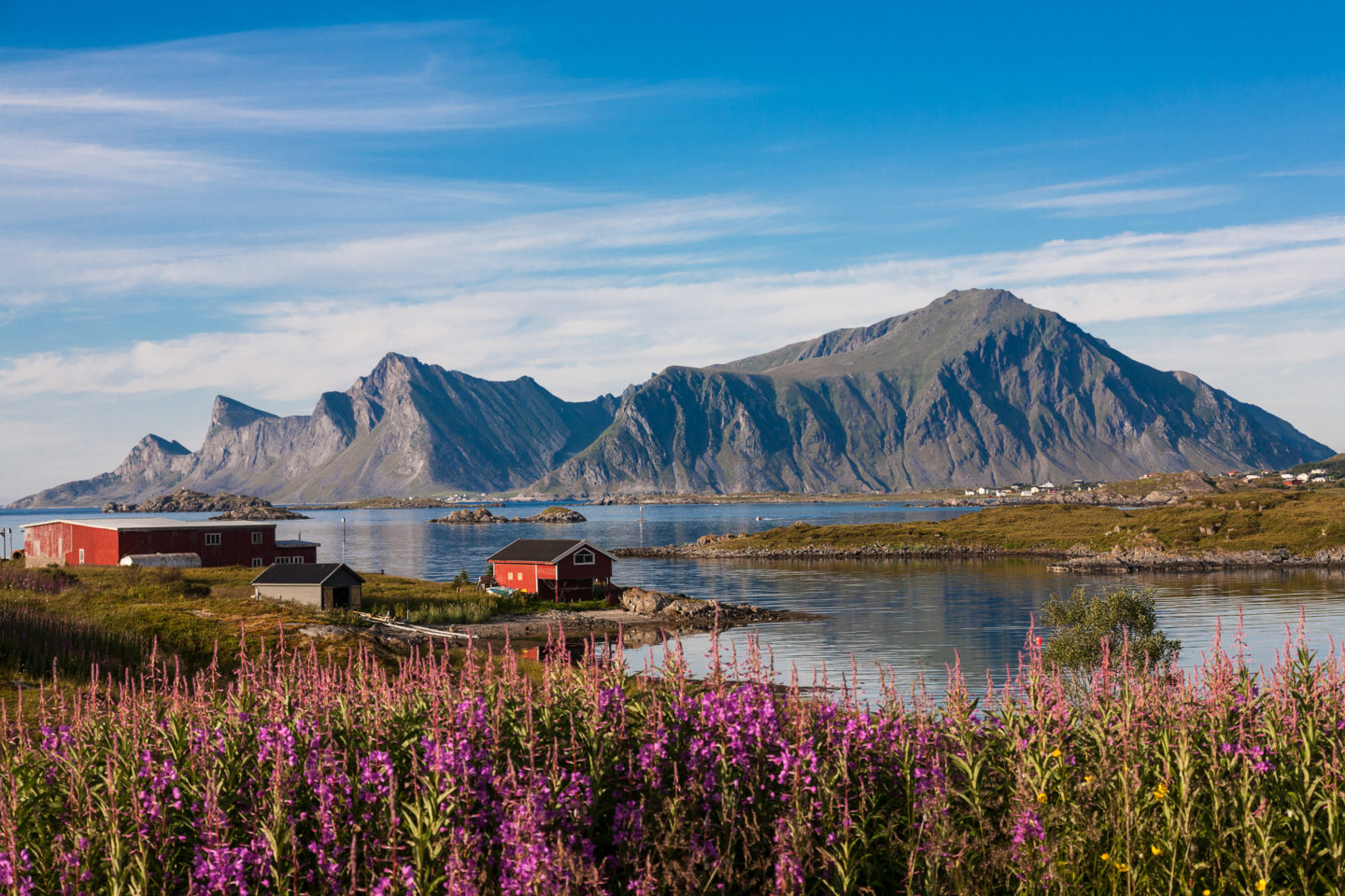 Scenic view of red houses and fjord in the Lofoten Islands, Norway