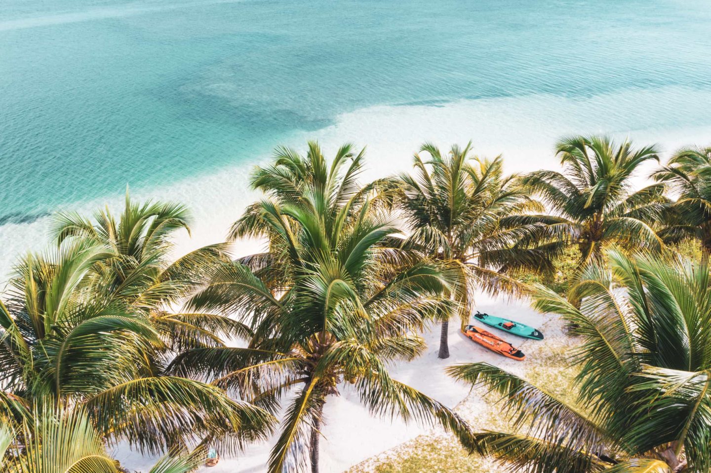 Miavana's beach with palm trees and boats, creating a tropical paradise