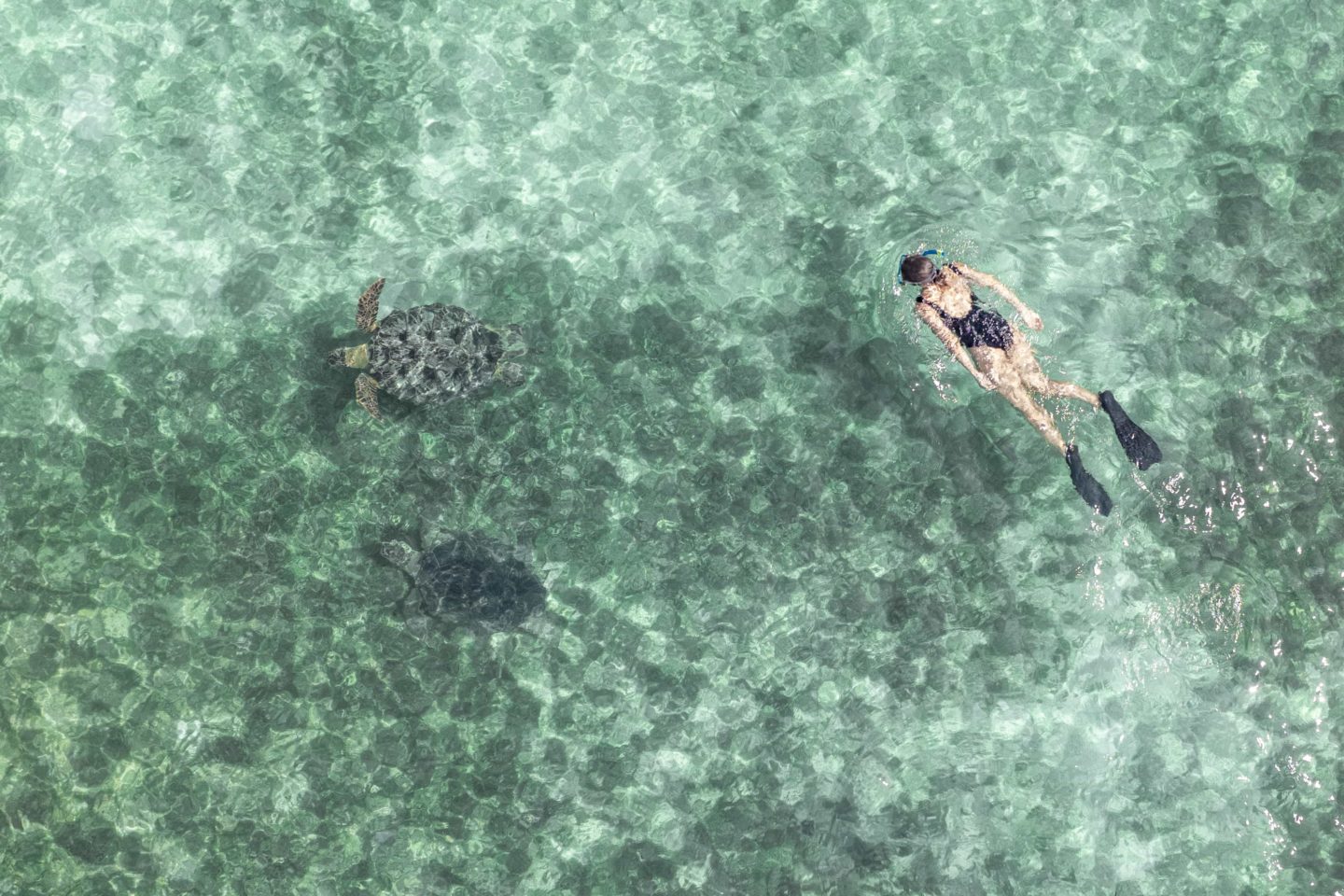 Girl swims with turtles in the ocean, showcasing the Tsara Komba's marine life