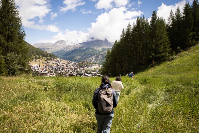 Group of hikers walking through a lush field near the village of Saas-Fee, surrounded by mountains