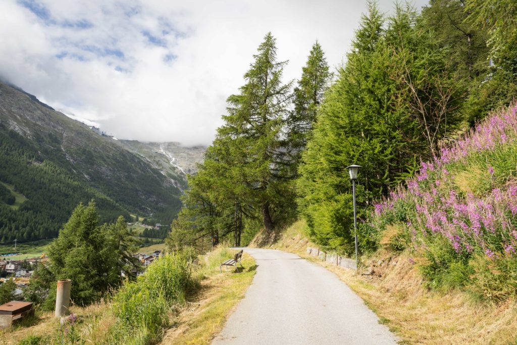 Scenic road lined with a tree, representing the charm of Saas Fee