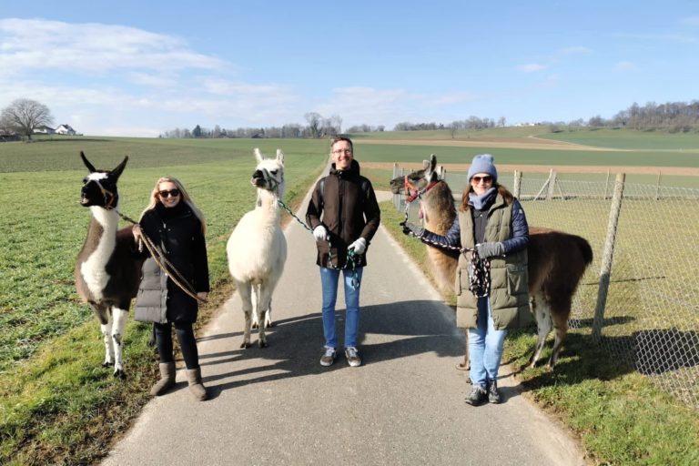 Friends capture a joyful moment with llama in a beautiful setting